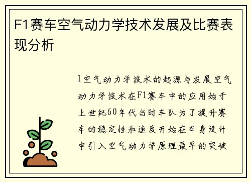 F1赛车空气动力学技术发展及比赛表现分析